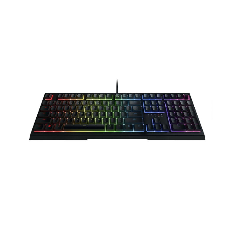 RAZER ORNATA V2 2