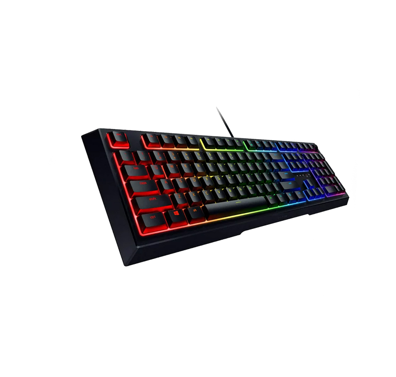 RAZER ORNATA V2 3